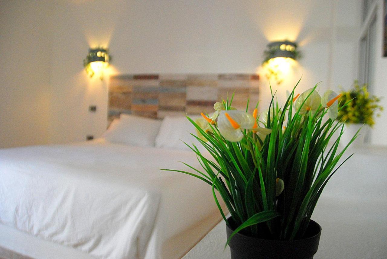 Nuovo Hotel Playa Catalina La Romana Eksteriør billede