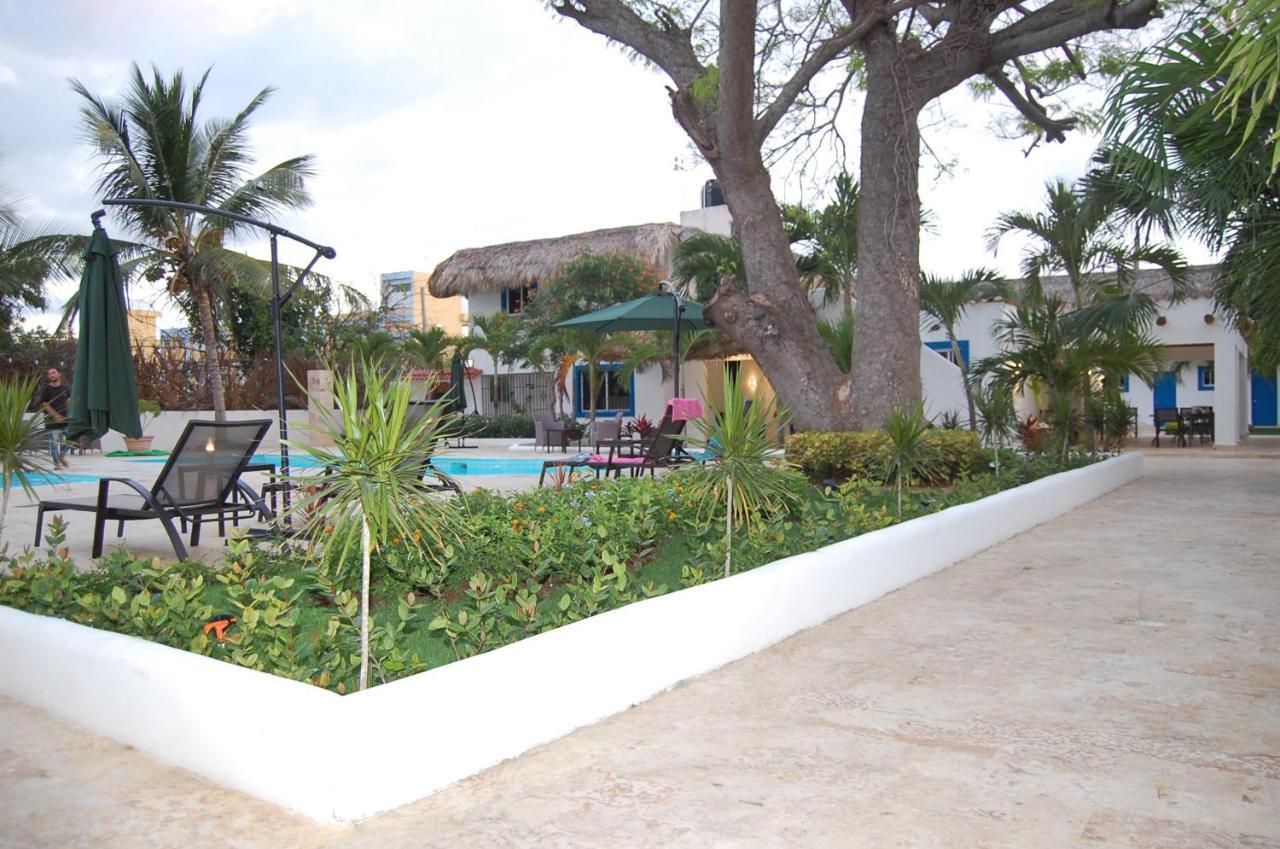 Nuovo Hotel Playa Catalina La Romana Eksteriør billede